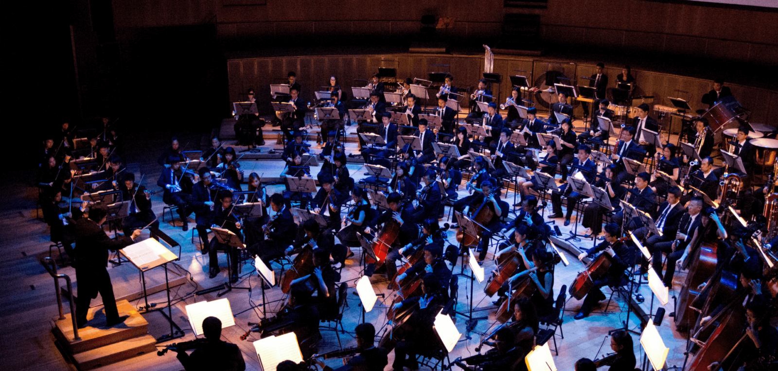 Why electronic orchestras are sweeping the nation Features MN2S